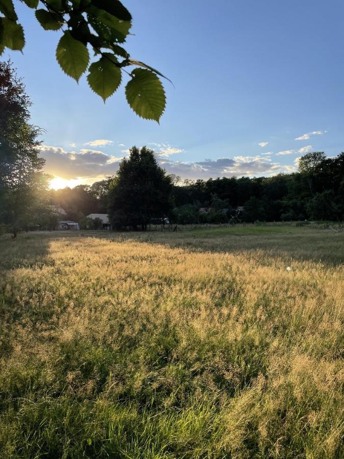 Apartamento Spreewaldhaus Am Landgut - Pretschen Markische Heide Exterior foto