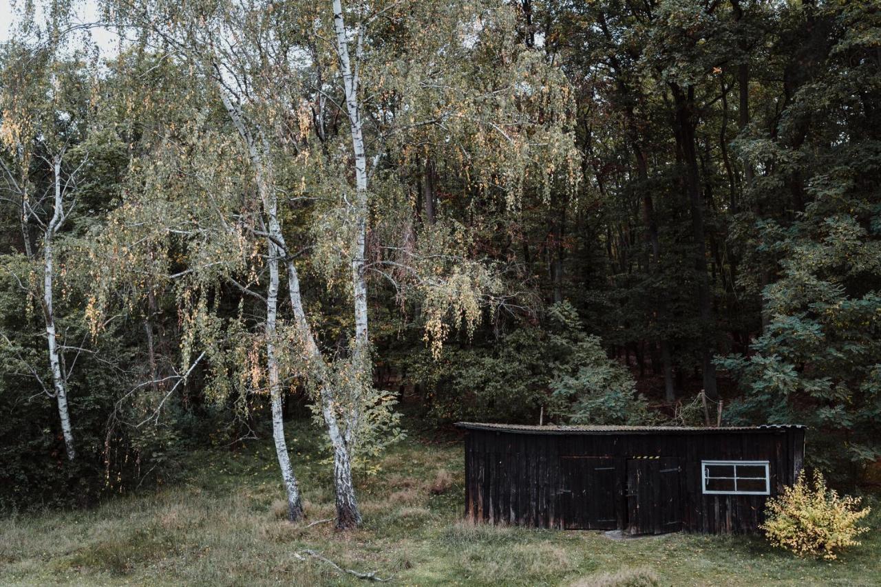 Apartamento Spreewaldhaus Am Landgut - Pretschen Markische Heide Exterior foto